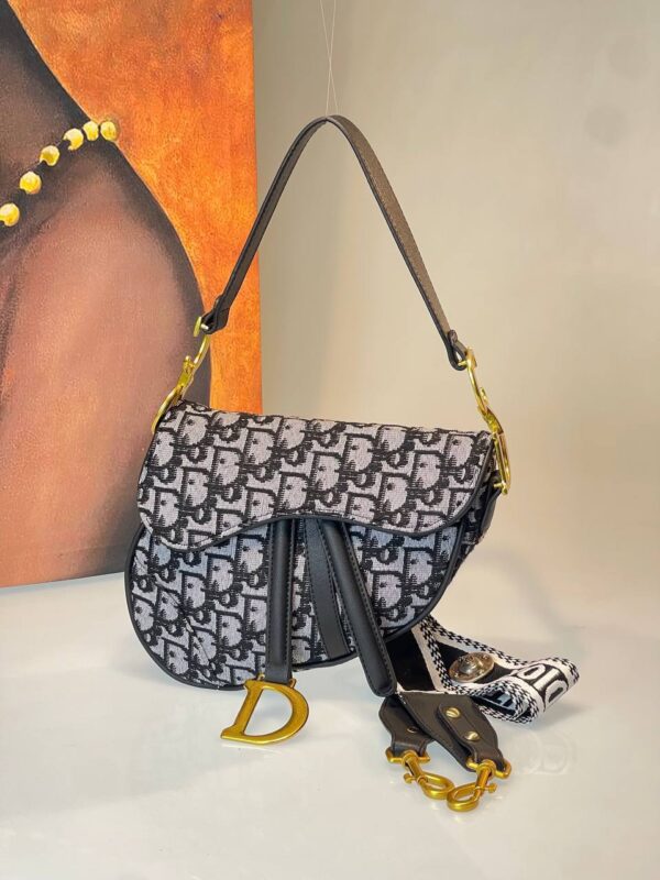 Dior Saddle