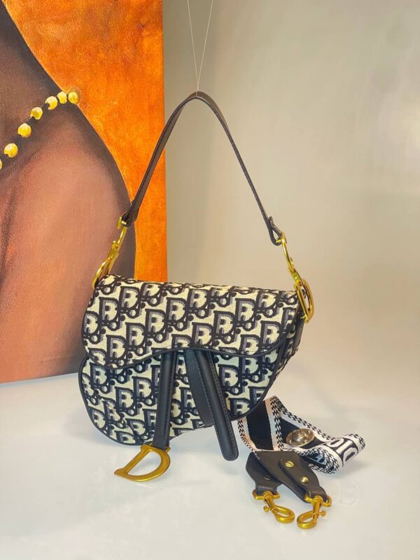 Dior Saddle